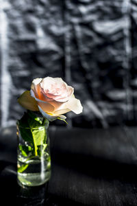 Close-up of rose in glass vase on table