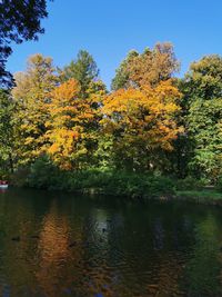 Trees by lake against clear sky during autumn