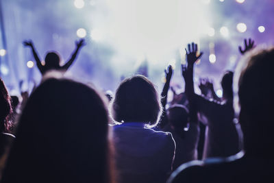 Crowd at concert