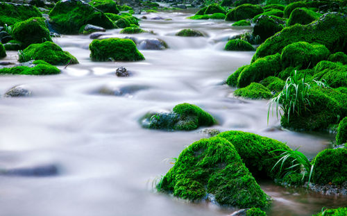 Stream flowing through rocks