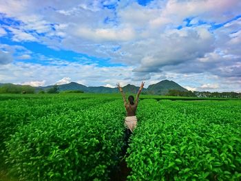 Scenic view of agricultural field against sky