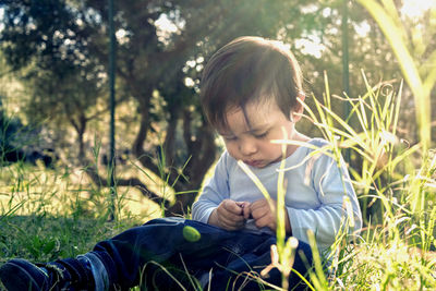 Boy looking at plants