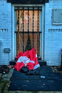 Red rose on street against building