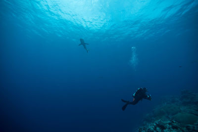 View of ssuba diver swimming in sea