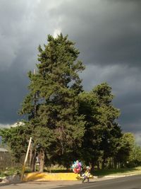 Road by trees against cloudy sky