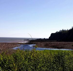 Scenic view of sea against clear blue sky