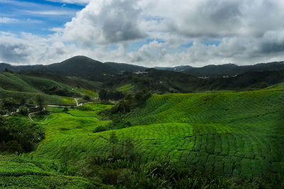 Scenic view of agricultural field against sky