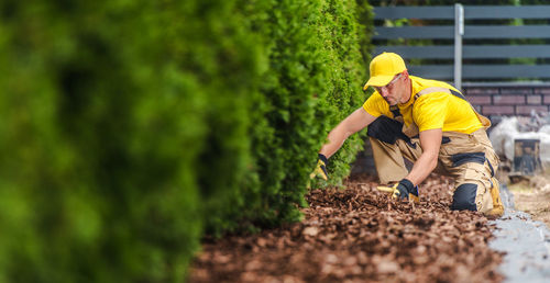 Side view of man working on field