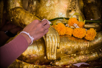 Close-up of hand holding flower