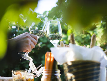 Midsection of man holding wine glass