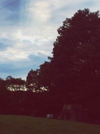 Trees on field against cloudy sky