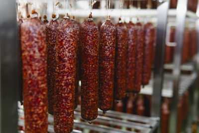 Close-up of multi colored candies for sale