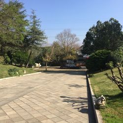 View of footpath by street against sky