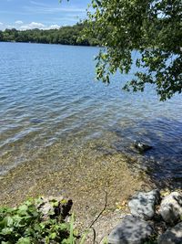 Scenic view of lake