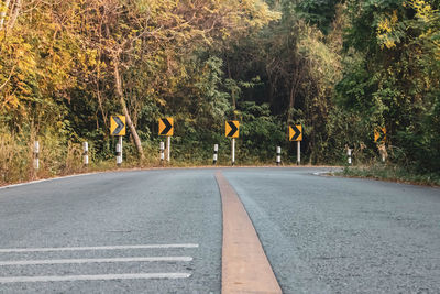 Road amidst trees and plants in city