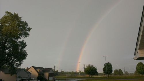 Rainbow over trees