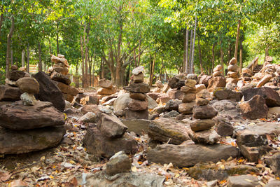 Stack of stones in forest