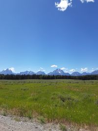 Scenic view of field against blue sky