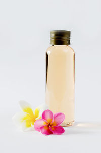 Close-up of flower vase on table against white background