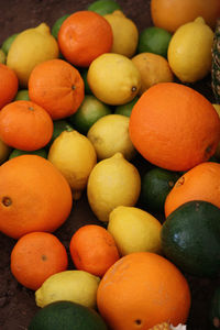 High angle view of oranges in market