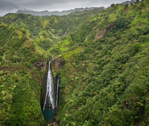 Scenic view of rural landscape
