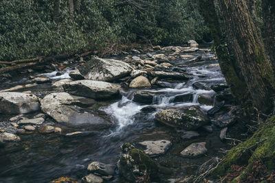 Stream flowing through rocks in forest