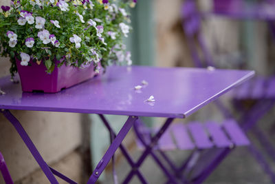 Close-up of purple flower pot on table