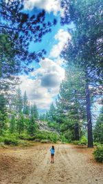 Rear view of man standing on road amidst trees against sky
