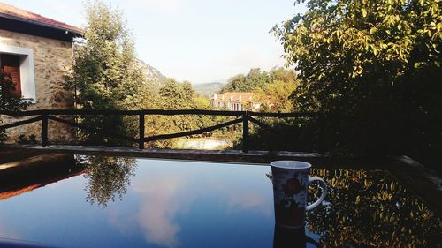 Reflection of trees in water