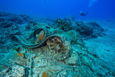 Woman scuba diving in sea