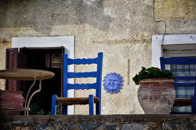 Potted plants against wall of building