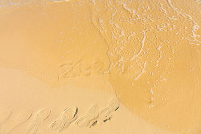 High angle view of footprints on wet sand