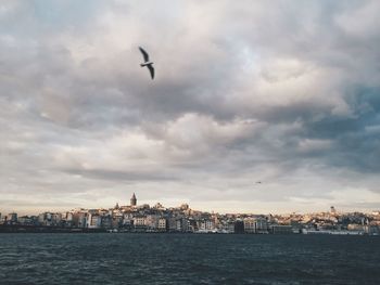 Bird flying over city against cloudy sky