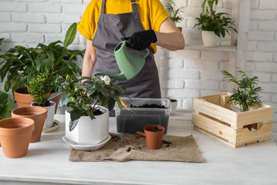 Rear view of man holding potted plant