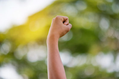 Close-up of fist against blurred background