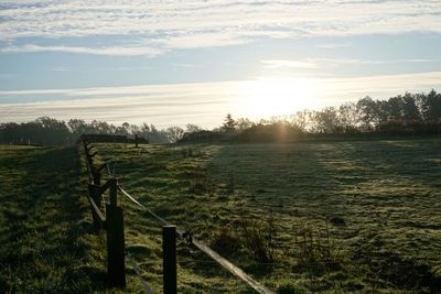 Scenic view of field against sky