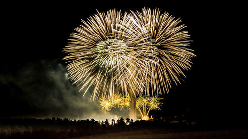 Low angle view of firework display at night