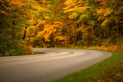 Road amidst trees in forest during autumn