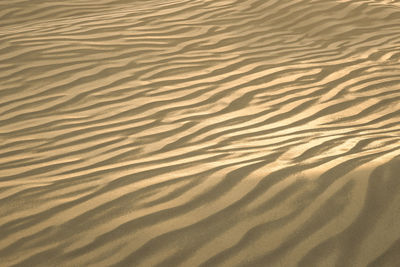 Full frame shot of sand dune