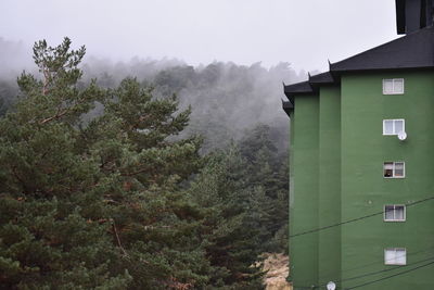 Low angle view of trees and building against sky