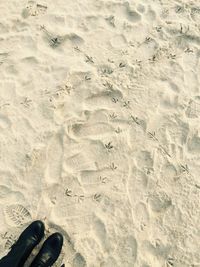 Footprints on sandy beach