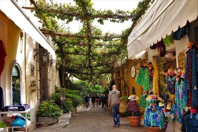 People walking by trees in city