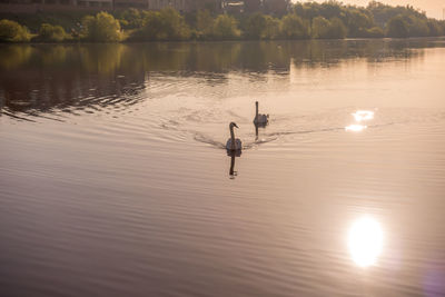 Reflection of man in a lake