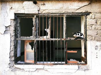 Closed door of house