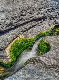 Scenic view of waterfall