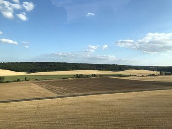 Scenic view of agricultural field against sky