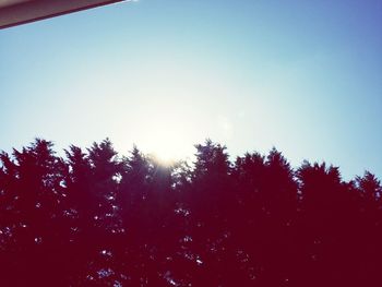 Low angle view of trees against clear blue sky