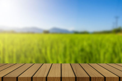 Surface level of agricultural field against sky