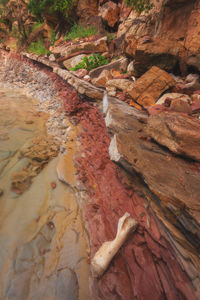 High angle view of dry leaves on rock