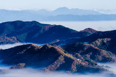 Autumn leaves and sea of clouds